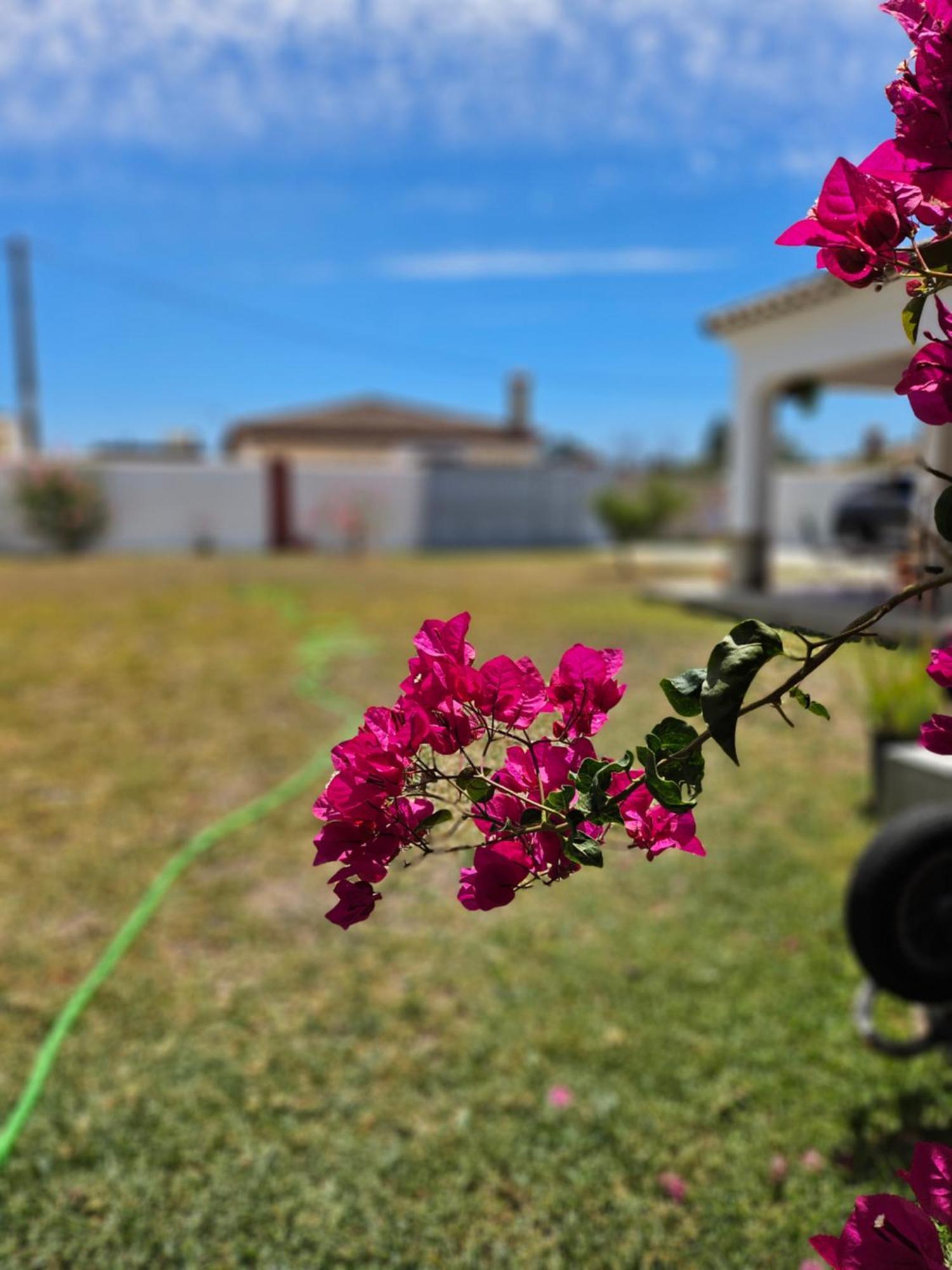 Villa Nonina Chiclana de la Frontera Eksteriør billede